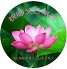 ���ֹ�,���ϴ󷨵��ӹ�ףʦ������(25��)
