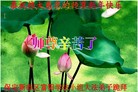 ���ֹ�,�����󷨵��ӹ�ףʦ������(31��)
