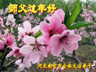 ���ֹ�,�ӱ��󷨵��ӹ�ףʦ������(20��)
