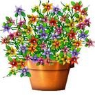 ���ֹ�,����ʡ�󷨵��ӹ�ףʦ������(25��)
