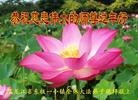 ���ֹ�,��ľ˹�󷨵��ӹ�ףʦ������(25��)
