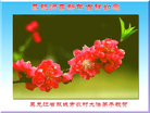 Published on 2/16/2015 ���ֹ�,���󷨵��ӹ�ףʦ������(25��)

