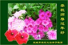 Published on 2/16/2015 ���ֹ�,���󷨵��ӹ�ףʦ������(25��)
