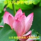 ���ֹ�,����ϵͳ�󷨵��ӹ�ףʦ������(23��)
