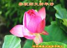 ���ֹ�,�����󷨵��ӹ�ףʦ������(29��)
