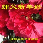 ���ֹ�,Ϋ���󷨵��ӹ�ףʦ������(24��)
