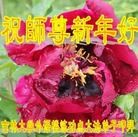 ���ֹ�,����ϵͳ�󷨵��ӹ�ףʦ������(21��)
