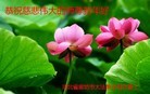 ���ֹ�,�ȷ��󷨵��ӹ�ףʦ������(28��)
