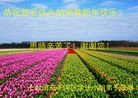 Published on 2/16/2015 ���ֹ�,��½�󷨵��ӹ�ףʦ������(37��)
