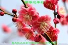 Published on 2/16/2015 ���ֹ�,��½�󷨵��ӹ�ףʦ������(37��)
