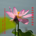 ���ֹ�,���մ󷨵��ӹ�ףʦ������(22��)
