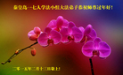 ���ֹ�,�ػʵ��󷨵��ӹ�ףʦ������(26��)
