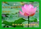 Published on 2/16/2015 ���ֹ�,��½�󷨵��ӹ�ףʦ������(38��)

