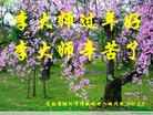 Published on 2/19/2015 ���ֹ�,��½���ڹ�ף��ʦ������ã�22����

