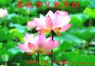 ���ֹ�,�ӱ��󷨵��ӹ�ףʦ������(29��)
