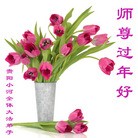 ���ֹ�,���ݴ󷨵��ӹ�ףʦ������(28��)
