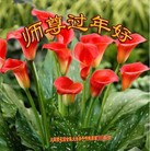 ���ֹ�,ɽ���󷨵��ӹ�ףʦ������(29��)
