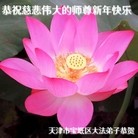 ���ֹ�,���󷨵��ӹ�ףʦ������(28��)
