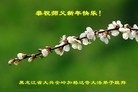 Published on 2/20/2015 ���ֹ�,����ҵ�󷨵��ӹ�ףʦ������(45��)
