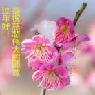 ���ֹ�,�㶫�󷨵��ӹ�ףʦ������(28��)
