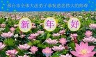 ���ֹ�,�ӱ��󷨵��ӹ�ףʦ������(30��)
