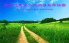 ���ֹ�,��ľ˹�󷨵��ӹ�ףʦ������(24��)
