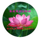 ���ֹ�,���󷨵��ӹ�ףʦ������(28��)
