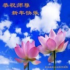 ���ֹ�,�ൺ�󷨵��ӹ�ףʦ������(29��)
