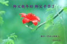 ���ֹ�,�ӱ��󷨵��ӹ�ףʦ������(24��)
