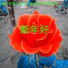 ���ֹ�,�㽭�󷨵��ӹ�ףʦ�������(27��)
