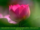 ���ֹ�,�������󷨵��ӹ�ףʦ������(31��)
