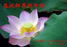���ֹ�,�żҿڴ󷨵��ӹ�ףʦ������(30��)
