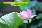 Published on 2/21/2015 ���ֹ�,��½�󷨵��ӹ�ףʦ������(30��)
