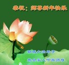 ���ֹ�,ɽ���󷨵��ӹ�ףʦ������(30��)
