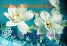 ���ֹ�,��������󷨵��ӹ�ףʦ������(27��)
