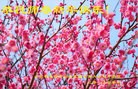 Published on 2/21/2015 ���ֹ�,��½�󷨵��ӹ�ףʦ������(68��)
