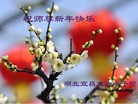 Published on 2/21/2015 ���ֹ�,��½�󷨵��ӹ�ףʦ������(70��)
