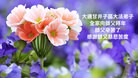 Published on 2/16/2015 ���ֹ�,��½�󷨵��ӹ�ףʦ������(33��)

