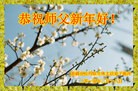 Published on 2/16/2015 ���ֹ�,��½�󷨵��ӹ�ףʦ������(41��)
