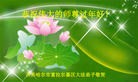 Published on 2/21/2015 ���ֹ�,��½�󷨵��ӹ�ףʦ������(19��)
