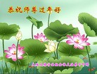 Published on 2/16/2015 ���ֹ�,��½�󷨵��ӹ�ףʦ������(46��)
