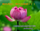 Published on 2/16/2015 ���ֹ�,��½�󷨵��ӹ�ףʦ������(46��)
