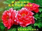 ���ֹ�,���������˹�ףʦ������(22��)
