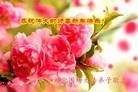 ���ֹ�,�ӱ��󷨵��ӹ�ףʦ������(24��)
