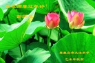 ���ֹ�,�ػʵ��󷨵��ӹ�ףʦ������(21��)
