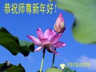 Published on 2/16/2015 ���ֹ�,��½�󷨵��ӹ�ףʦ������(35��)
