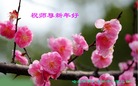 ���ֹ�,�������󷨵��ӹ�ףʦ������(27��)
