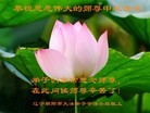 Published on 9/27/2015 ���ֹ�,��½�󷨵��ӹ�ףʦ�������(74��)
