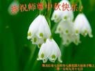 ���ֹ�,�������󷨵��ӹ�ףʦ�������(22��)
