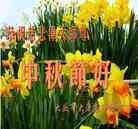 ���ֹ�,����󷨵��ӹ�ףʦ�������(19��)
